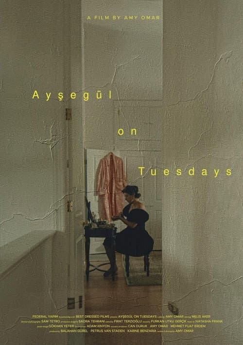 Poster for Ayşegül on Tuesdays