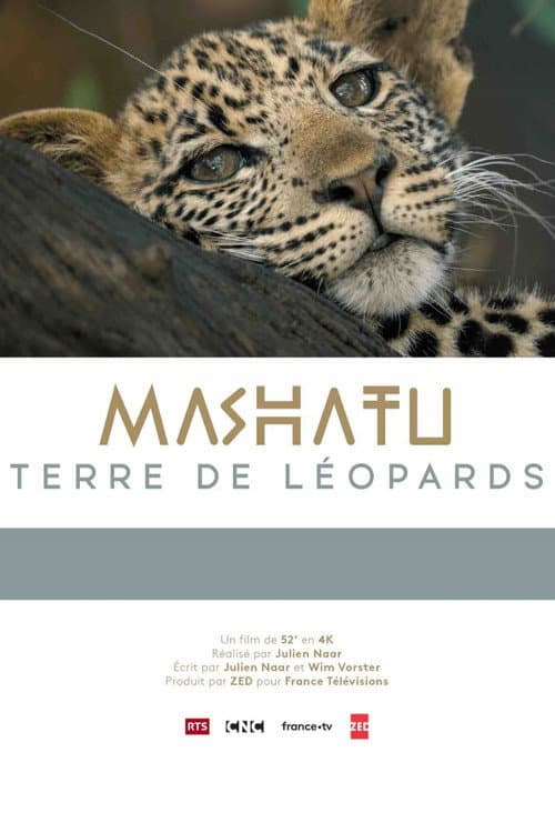 Poster for Mashatu, terre de léopards