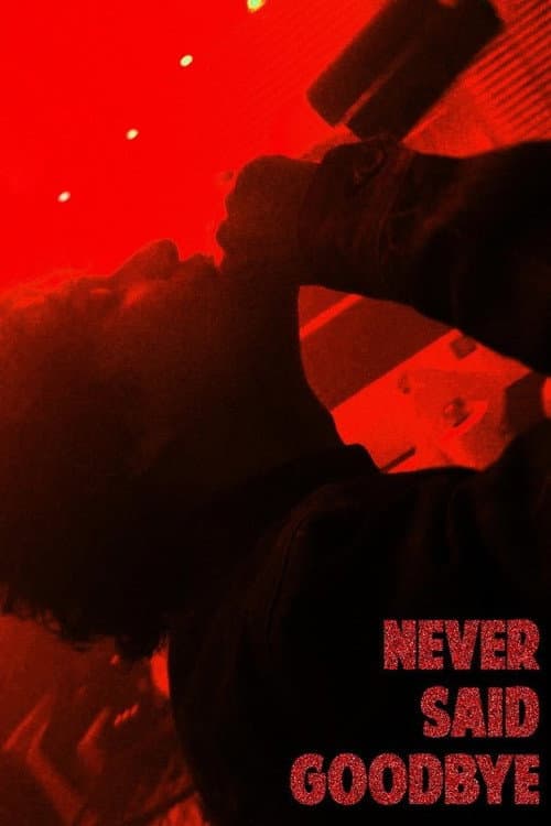 Poster for Never Said Goodbye