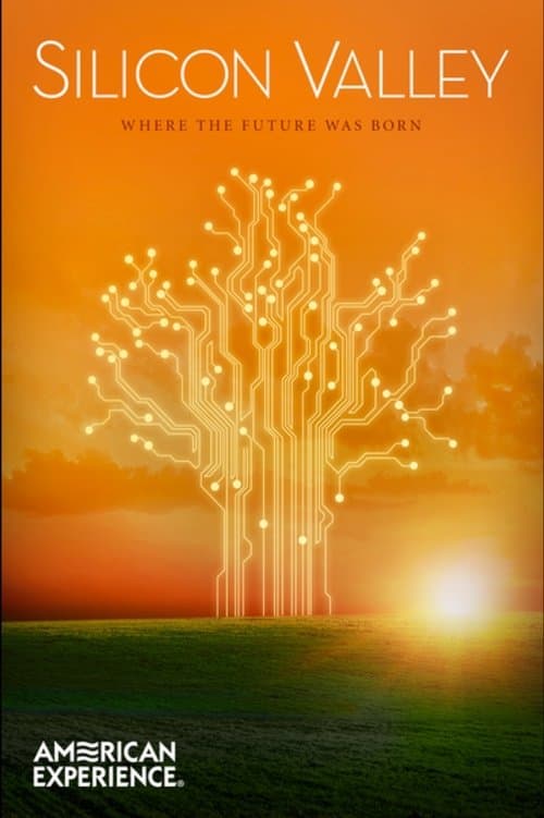 Poster for Silicon Valley