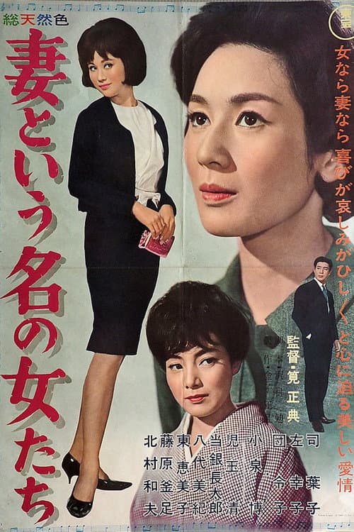 Poster for Women Called 'Wives'