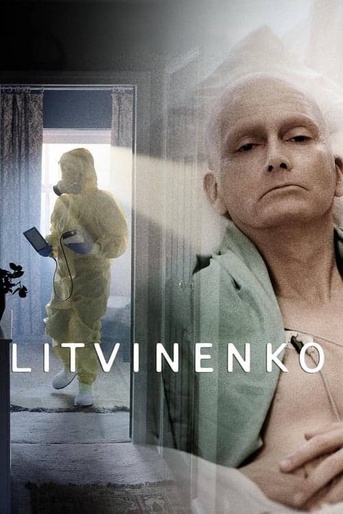 Постер до серіалу «Литвиненко (міні-серіал)»