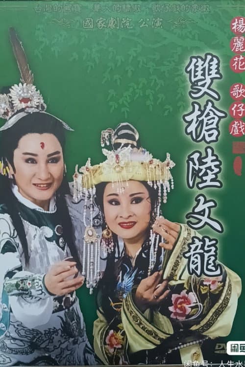Poster for 楊麗花歌仔戲之雙槍陸文龍