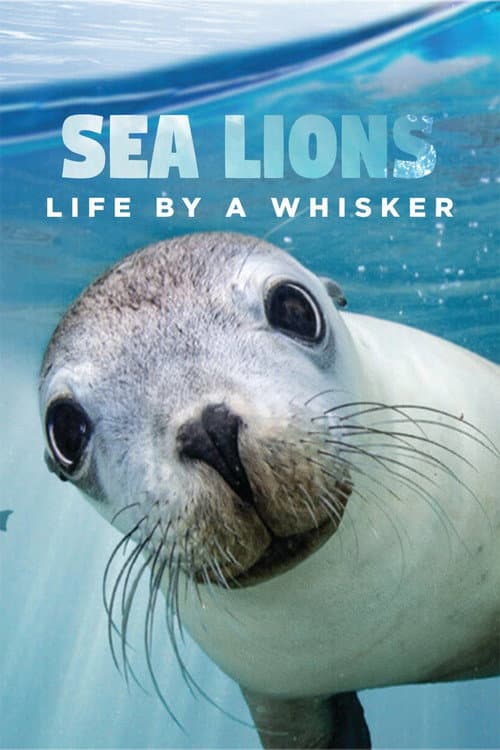 Постер до фільму «Sea Lions: Life By a Whisker»