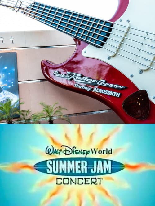 Постер до фільму «Walt Disney World Summer Jam Concert 2001»