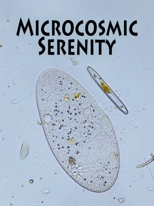Poster for Microcosmic Serenity