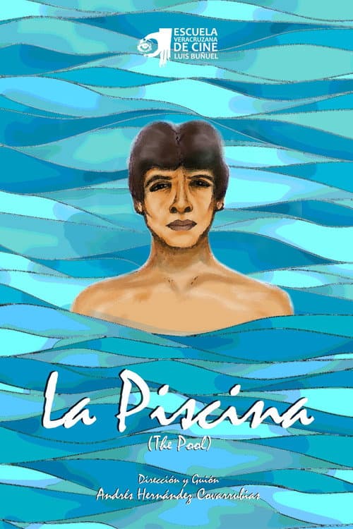 Poster for The Pool