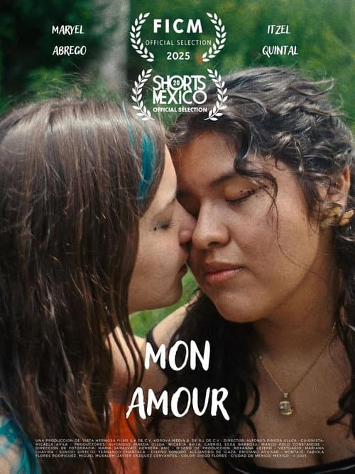 Poster for Mon Amour