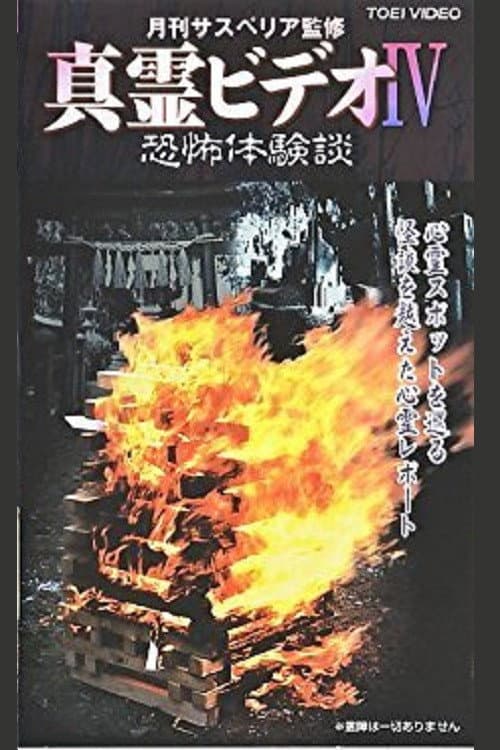 Постер до фільму «Shin rei bideo IV: Kyôfu taikendan»