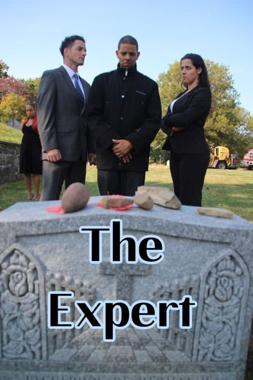 Poster for The Expert