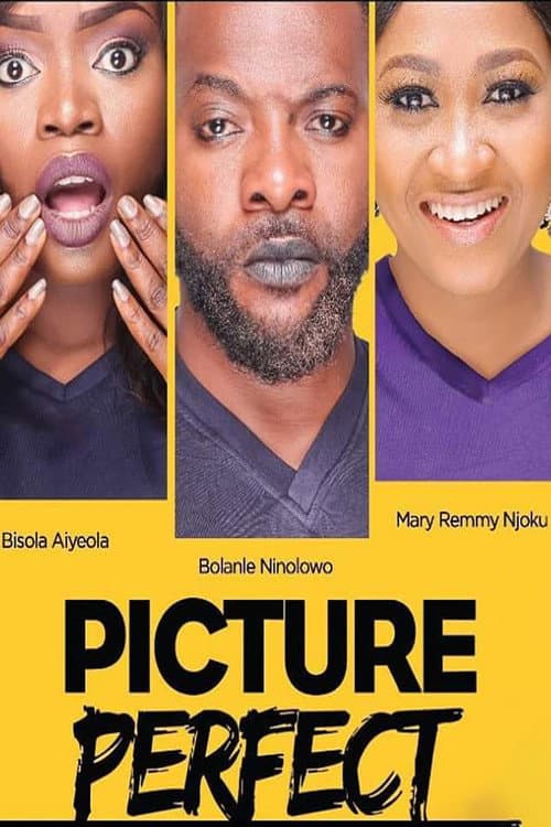 Poster for Picture Perfect