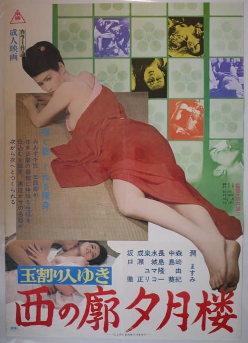 Poster for Virgin Breaker Yuki II: Western Licensed District