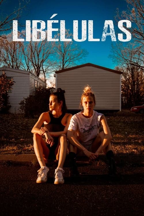Poster for Dragonflies