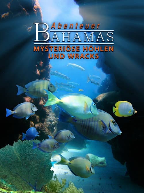 Poster for Adventure Bahamas 3D - Mysterious Caves And Wrecks