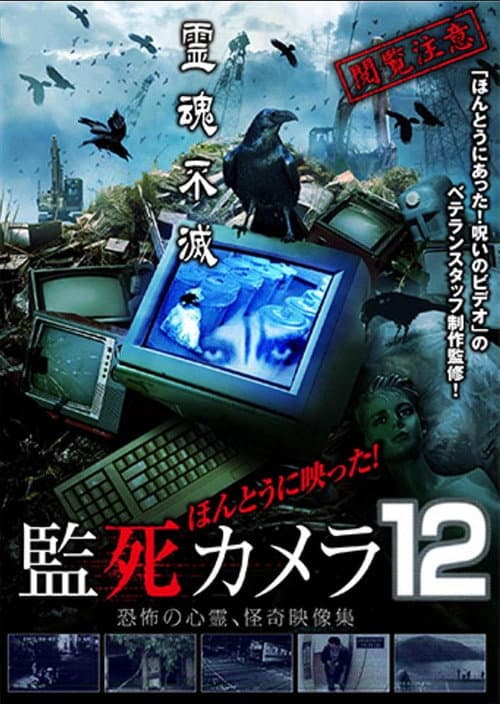 Poster for Paranormal Surveillance Camera 12