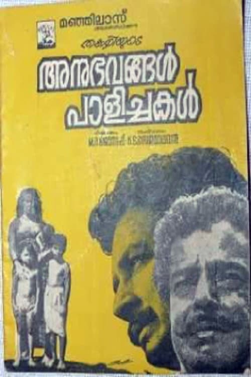 Poster for Anubhavangal Palichakal