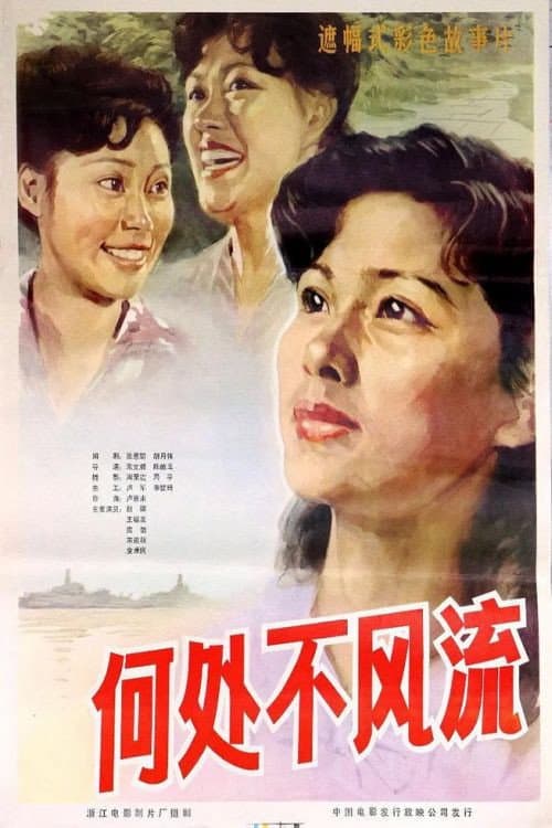 Poster for He chu bu feng liu