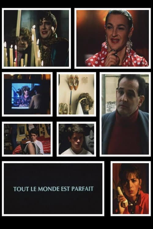 Poster for Everyone Is Perfect