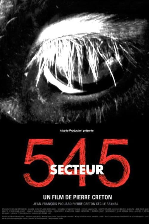 Poster for Secteur 545
