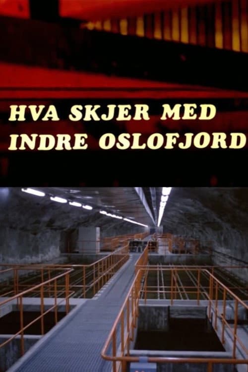 Poster for Oslofilm: Hva skjer med indre Oslofjord?