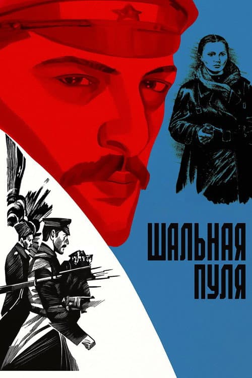 Poster for Stray Bullet