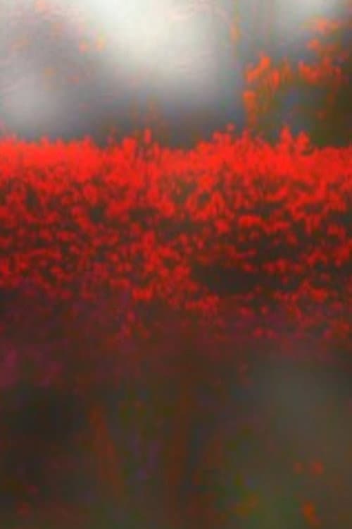 Poster for Burning Bush