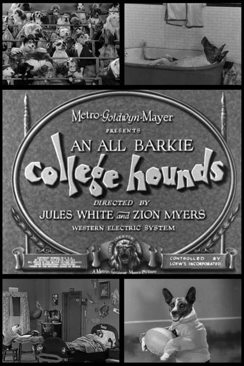 Poster for College Hounds