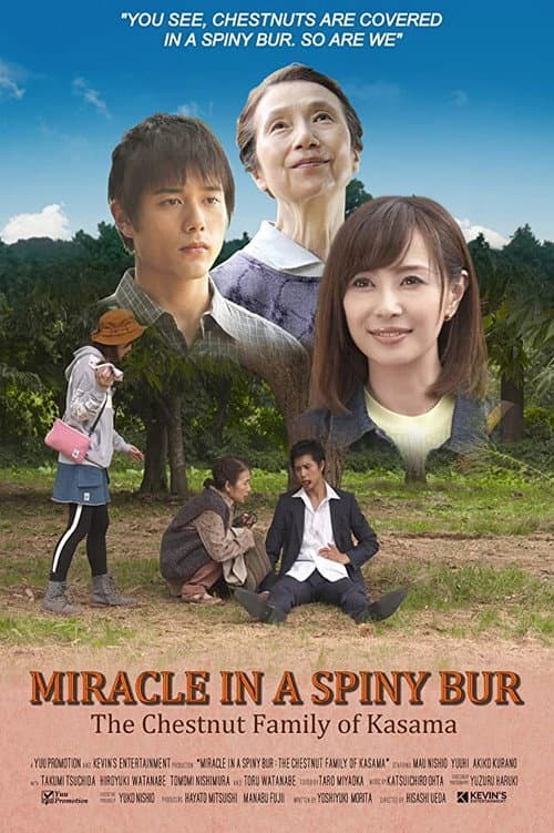 Poster for Miracle in Kasama