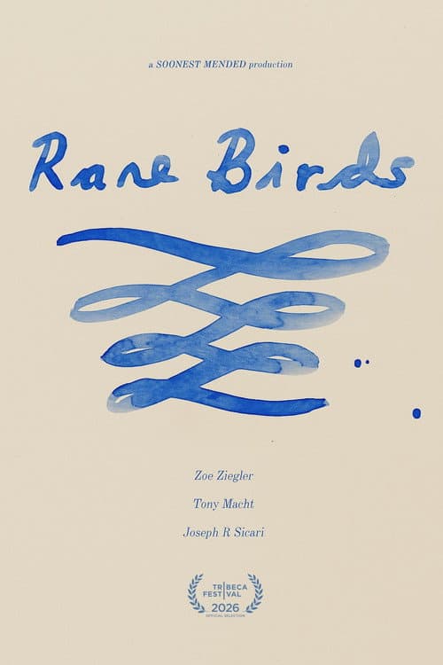 Poster for Rare Birds