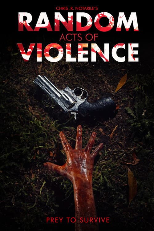 Poster for Random Acts of Violence