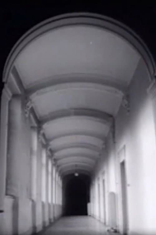 Poster for Ansichten einer Stadt