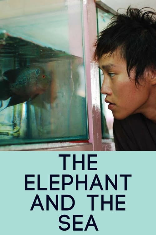 Poster for The Elephant and the Sea