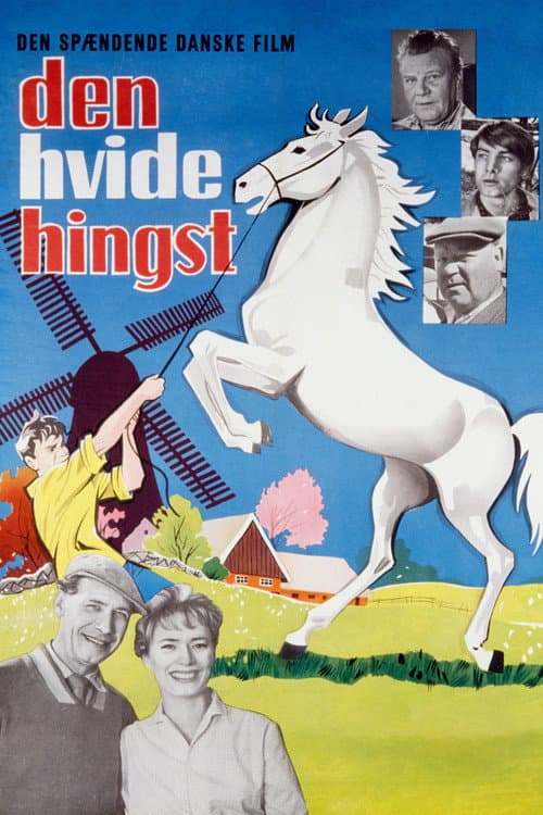 Poster for The Boy Who Loved Horses