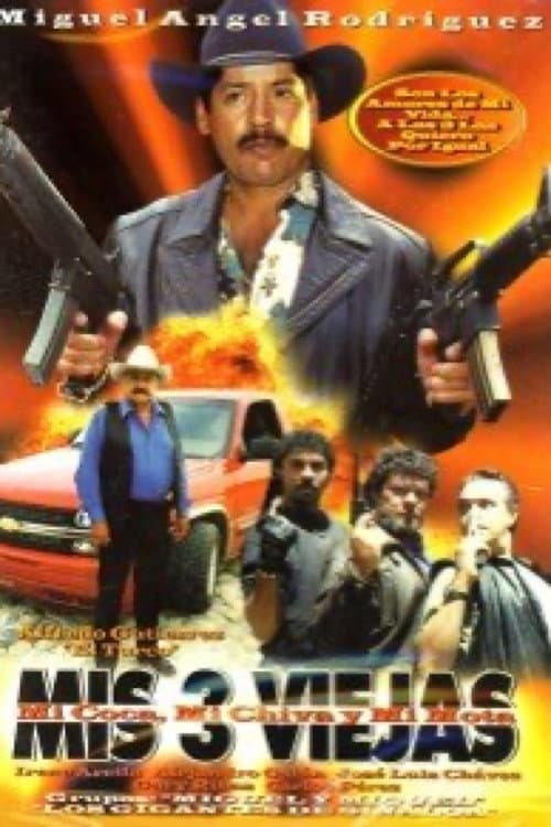 Poster for Mis 3 viejas
