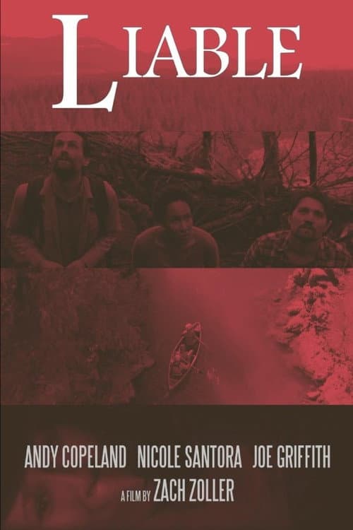 Poster for Liable