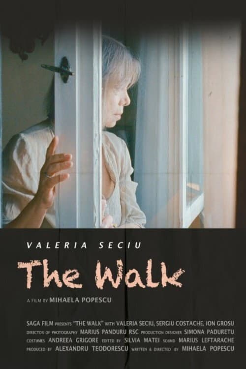 Poster for The Walk