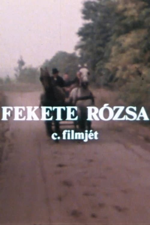 Poster for Fekete rózsa