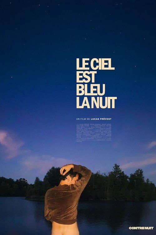 Poster for Le ciel est bleu la nuit