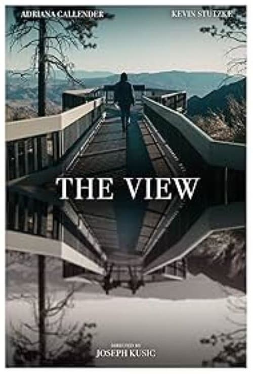 Постер до фільму «The View»