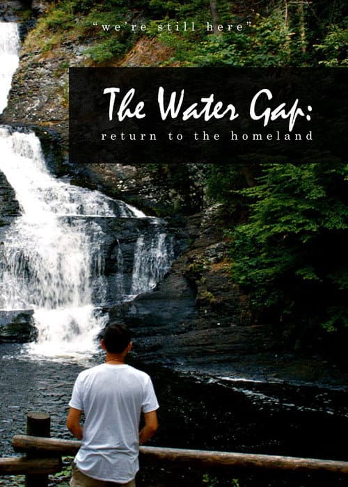 Poster for The Water Gap: Return to the Homeland