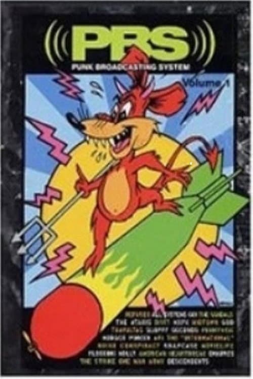Poster for PBS: Punk Broadcasting System