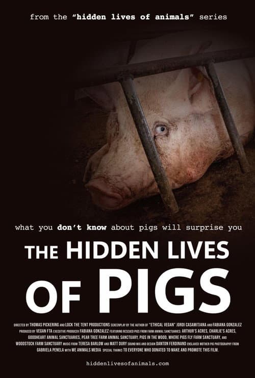 Poster for The Hidden Lives of Pigs