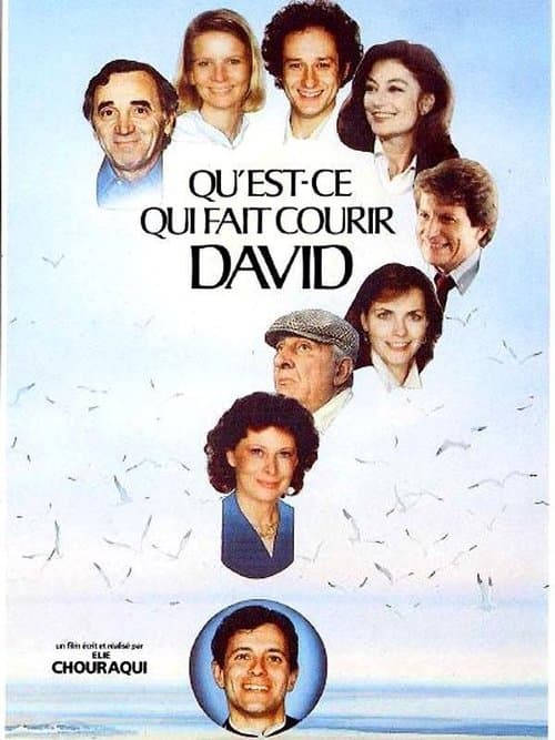 Poster for Qu'est-ce qui fait courir David ?