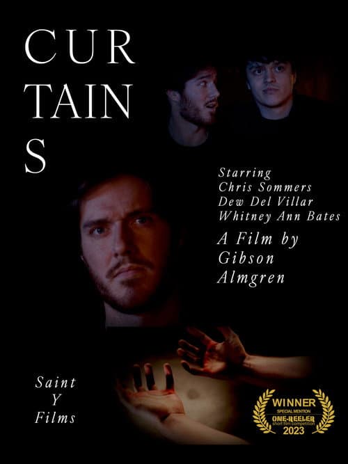 Poster for Curtains