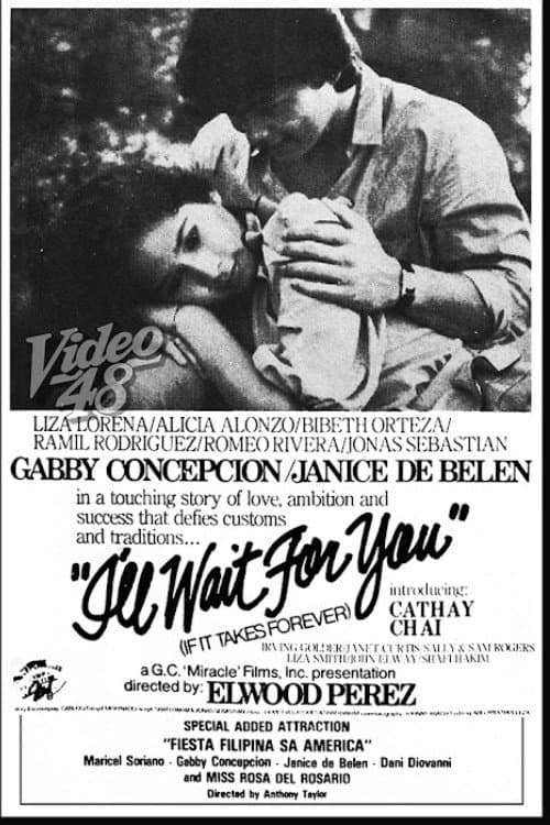 Poster for I'll Wait For You (If It Takes Forever)