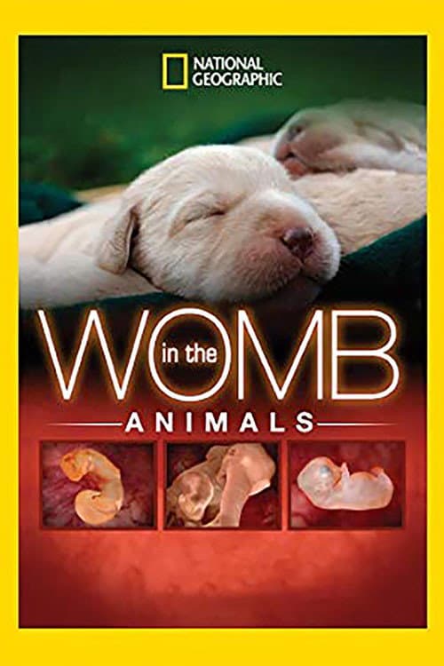 Poster for In The Womb: Animals
