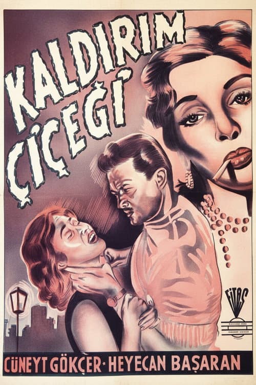 Poster for Kaldırım Çiçeği