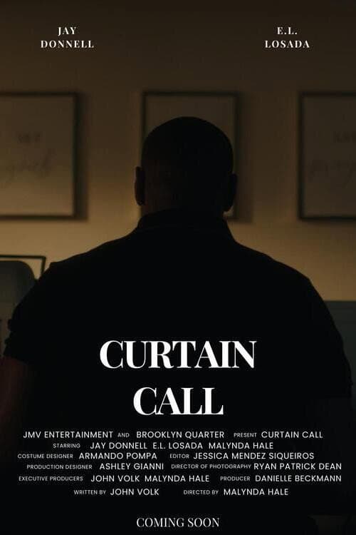 Poster for Curtain Call