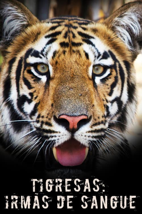 Poster for Tigress Blood