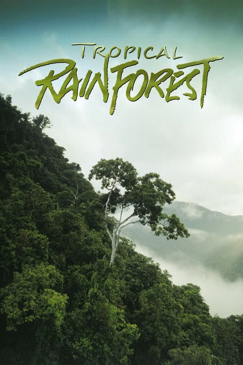 Poster for Tropical Rainforest
